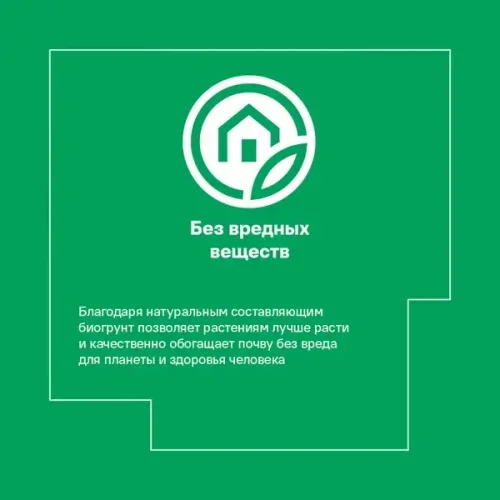 Торф верховой «Мечта Ботаника» 50 л
